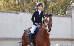 啪啪激情婷婷久久婷婷色五月